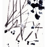 collage-56ww