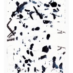 collage-66ww