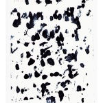 collage-76ww