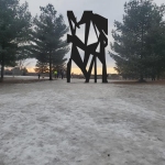 dogpark-cut